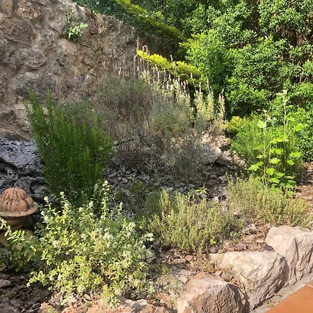 Sestret By Lemon Holiday home Valldemossa (Mallorca)